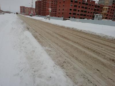 Активисты ОНФ выявили некачественную уборку снега в Рязани